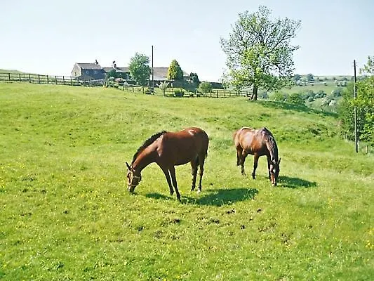 Holiday home Swallow Cottage Oakworth